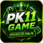 PK11 Game